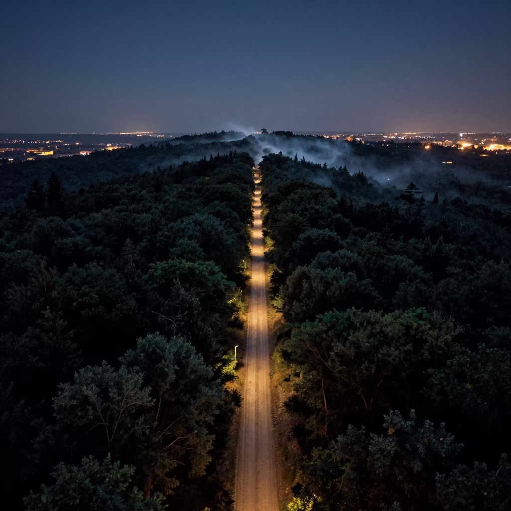 Avalanche Path Through Forest Near Madrid in high above patterned rooftops near Madrid