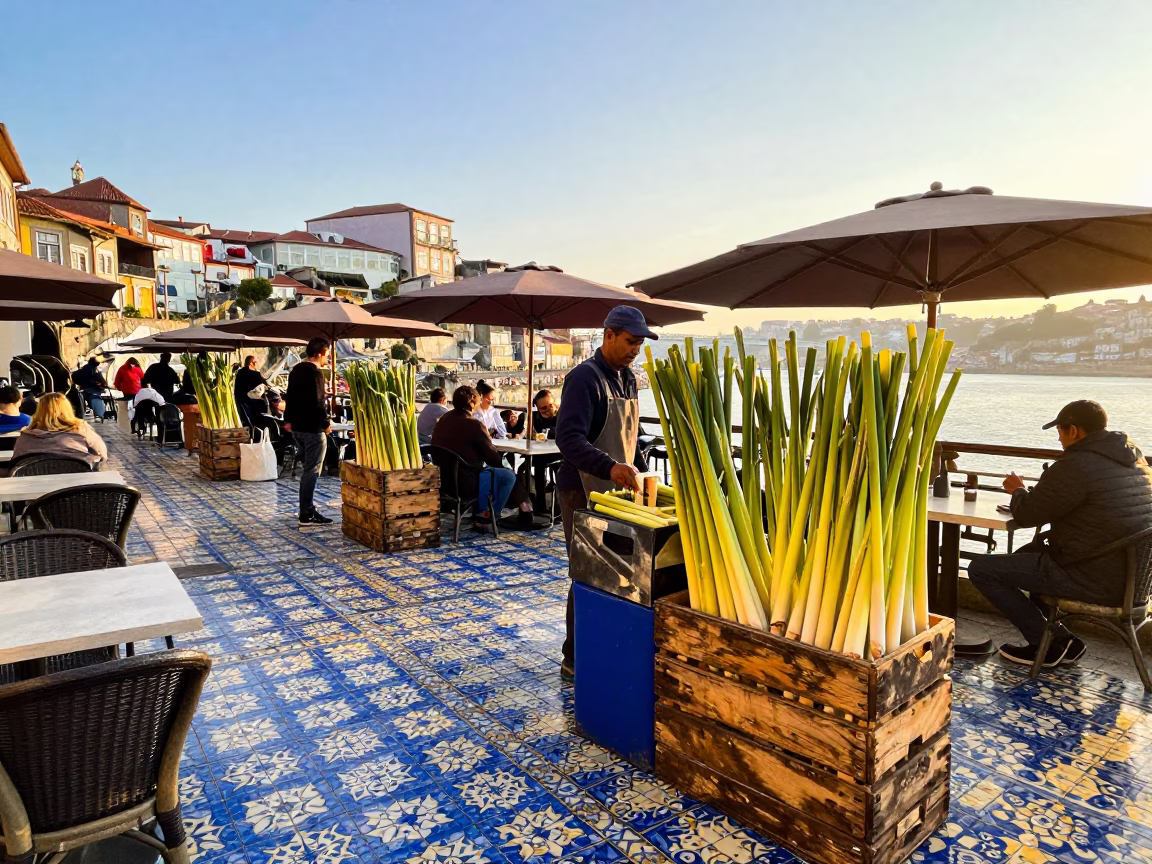 Azulejo Terrace in Porto in in Porto, Portugal