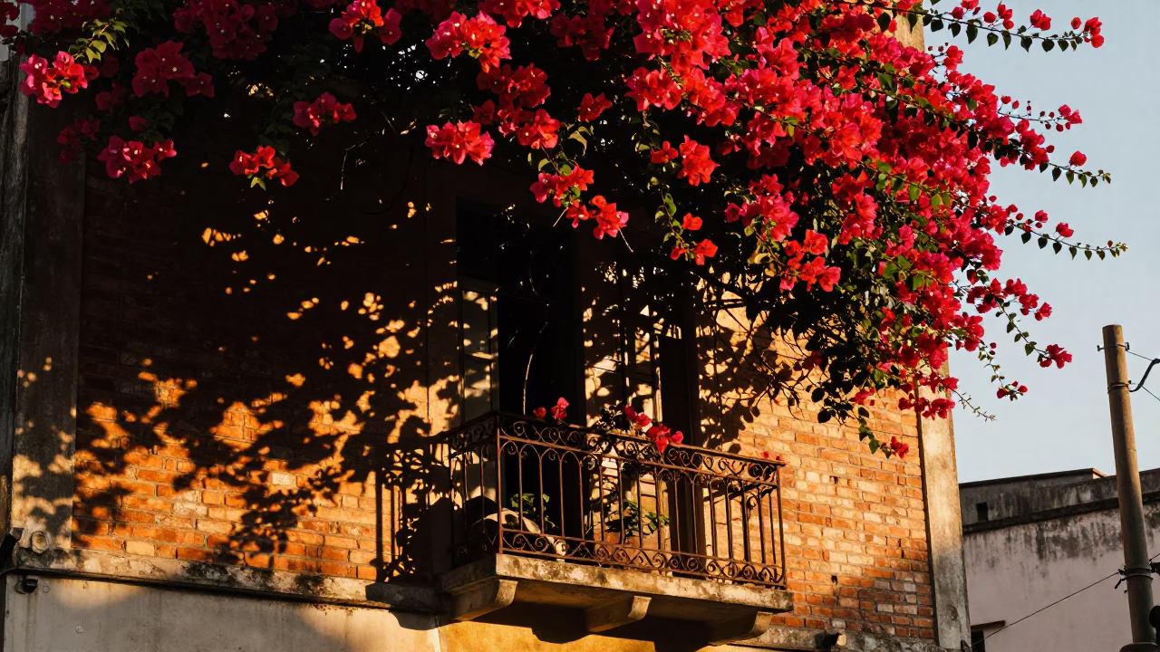 Balcony Details in São Paulo in in São Paulo, Brazil