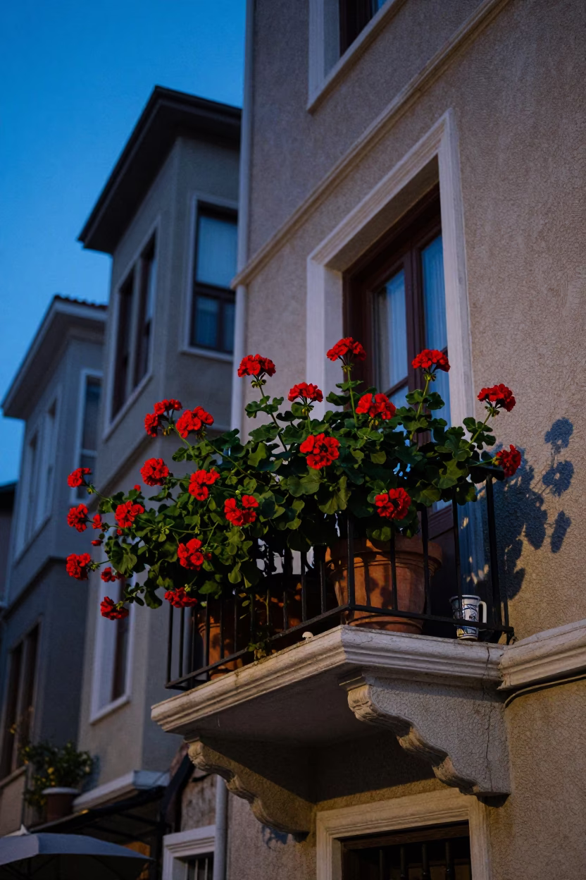 Balcony in Istanbul at Blue Hour in in Istanbul, Turkey