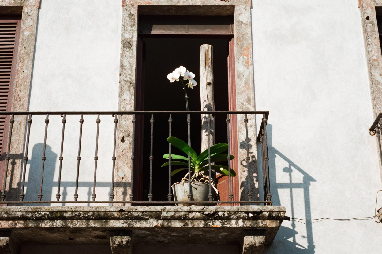 Balcony Scene in Mexico City at The Flat Glare Of Noon Light in in Mexico City, Mexico