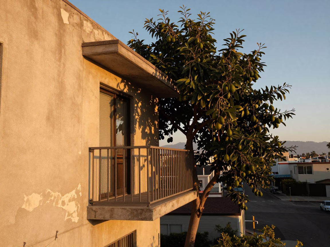 Balcony View at Honeyed Evening Light in Los Angeles in in Los Angeles, California, United States