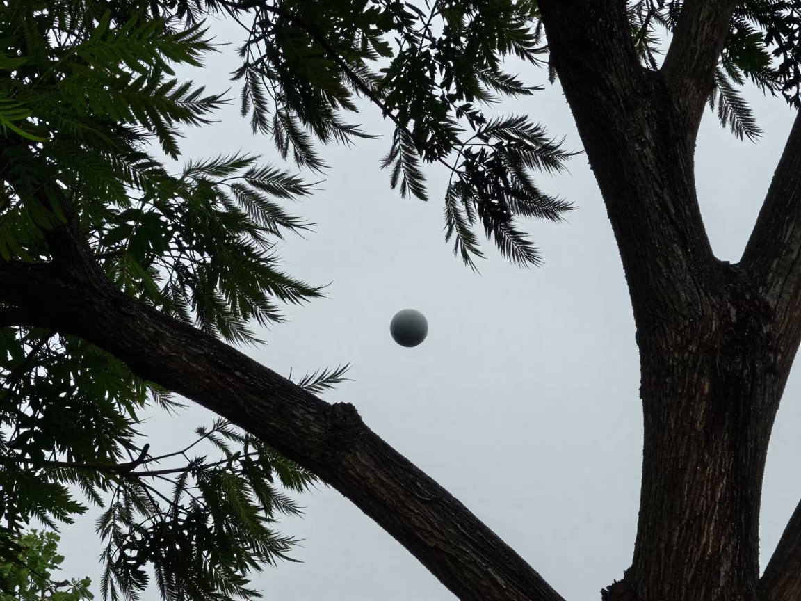 Ball Lightning Near Sargodha Tree Midsummer Rain in near Sargodha