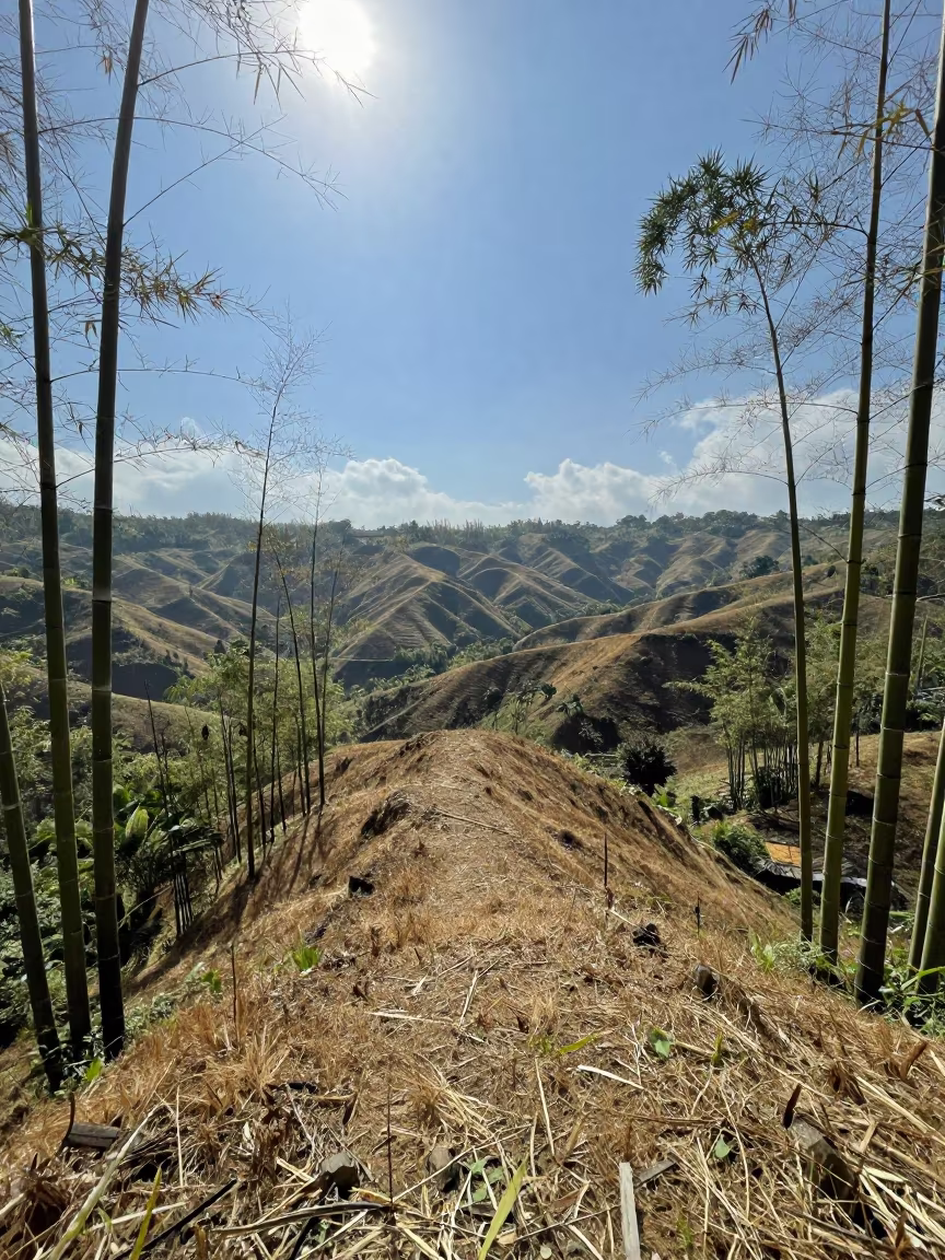 Bamboo Grove Ridge Over Bali Foothills Noon in from a ridge above layered foothills in Bali