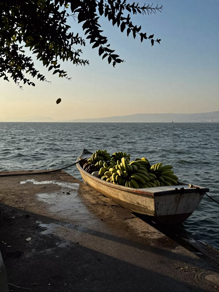 Banana Boat Load at Diyarbakir Dock Evening in near Diyarbakir