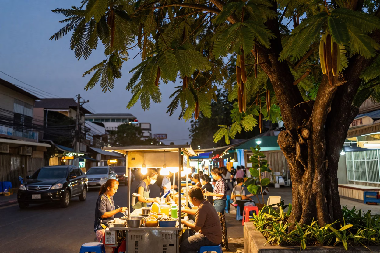 Bangkok street food stall at dusk with tamarind tree and evening city lights in in Bangkok, Thailand