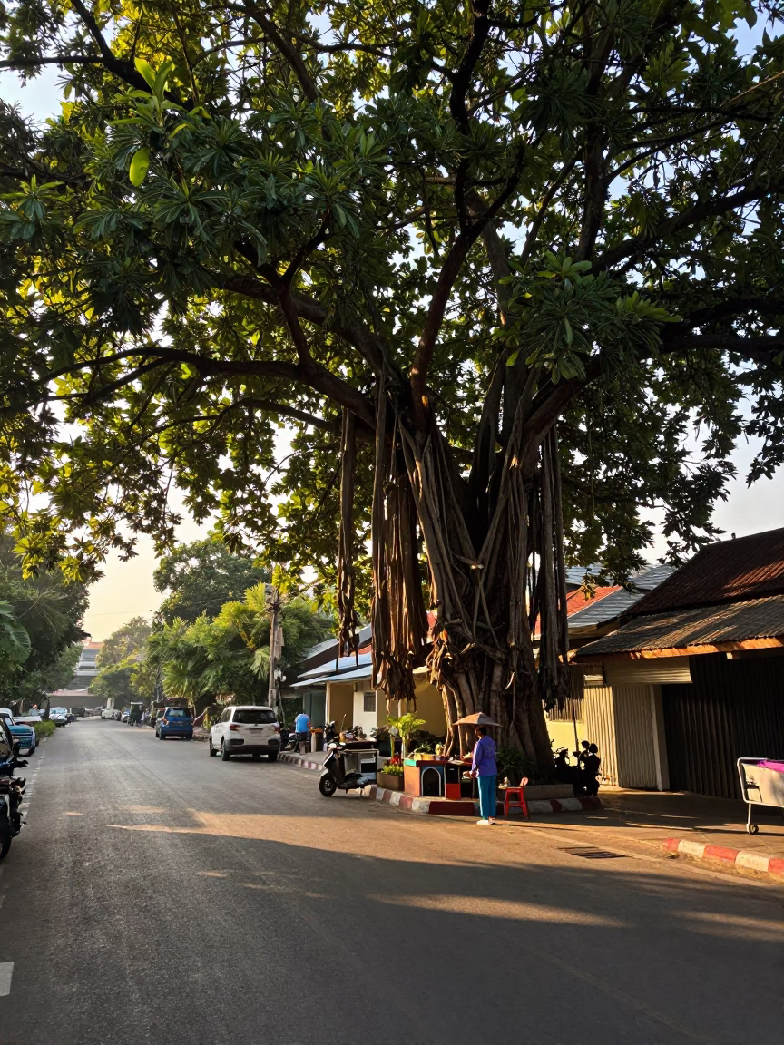 Bangkok Thailand Morning Street Scene with Banyan Tree and Local Vendor in in Bangkok, Thailand