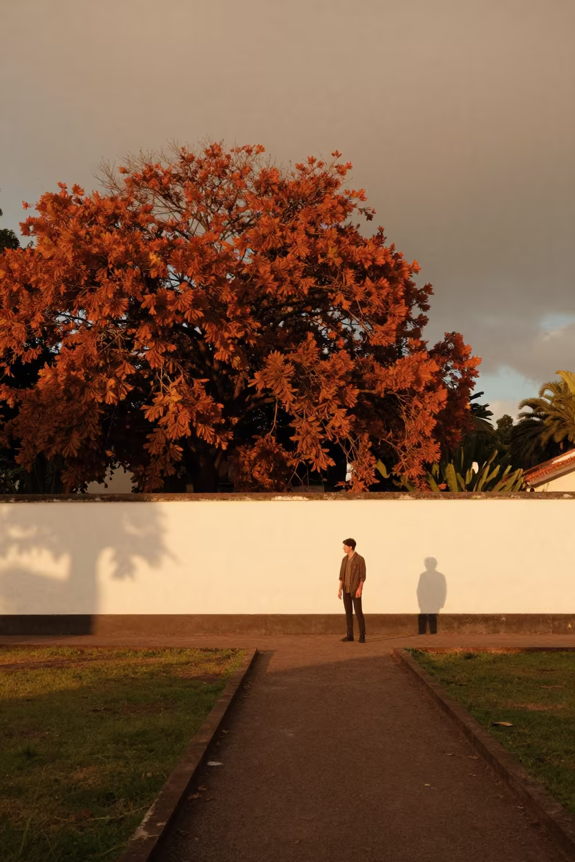 Barbado da Terceira on Autumn Path Near Wall in beside a plain courtyard wall in clear daylight with the animal at eye level near Mashhad