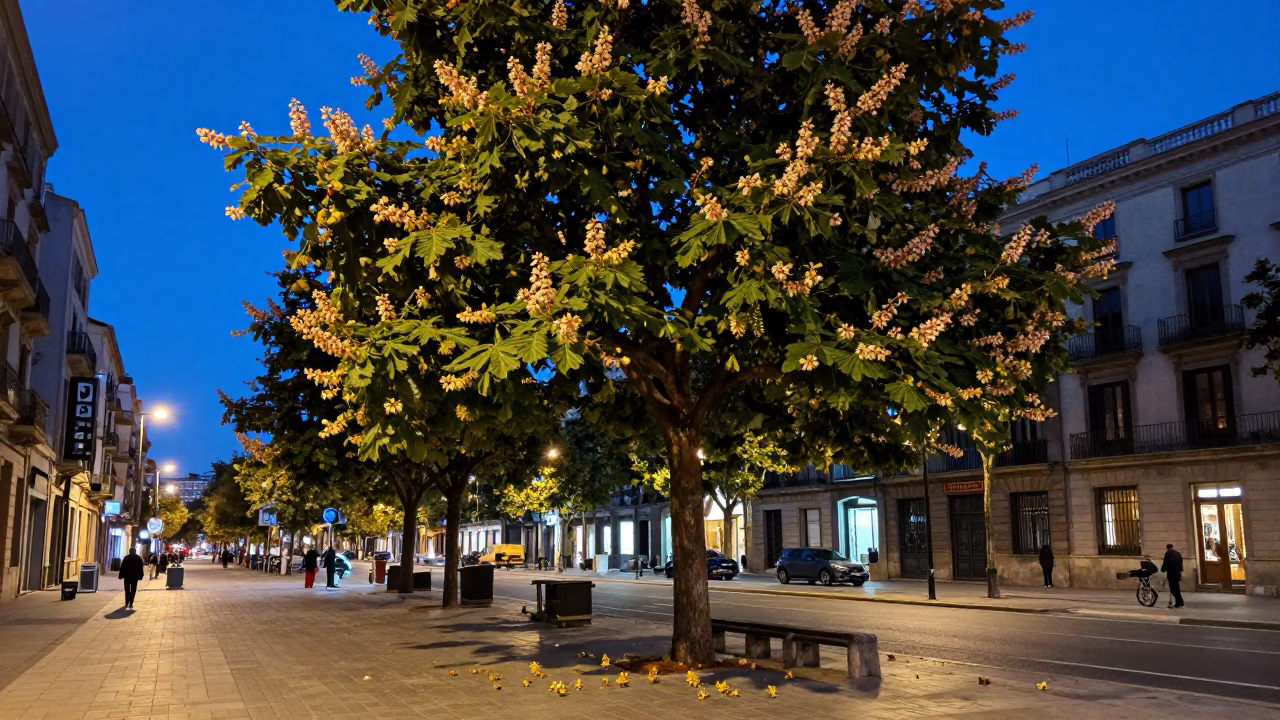 Barcelona Evening Blue Hour Street Scene with Chestnut Tree and Ceramic Mugs in in Barcelona, Spain