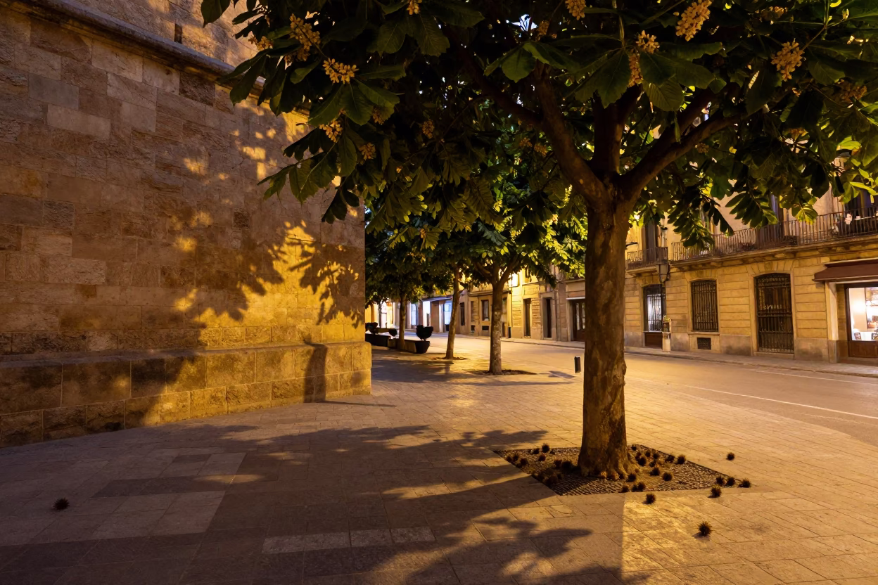 Barcelona Evening Street Scene with Chestnut Tree and Outdoor Cafe Bar Stools in in Barcelona, Spain