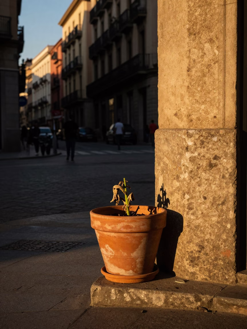 Barcelona Evening Street Scene with Terracotta Pots and Urban Demolition Amidst Honeyed Light in in Barcelona, Spain