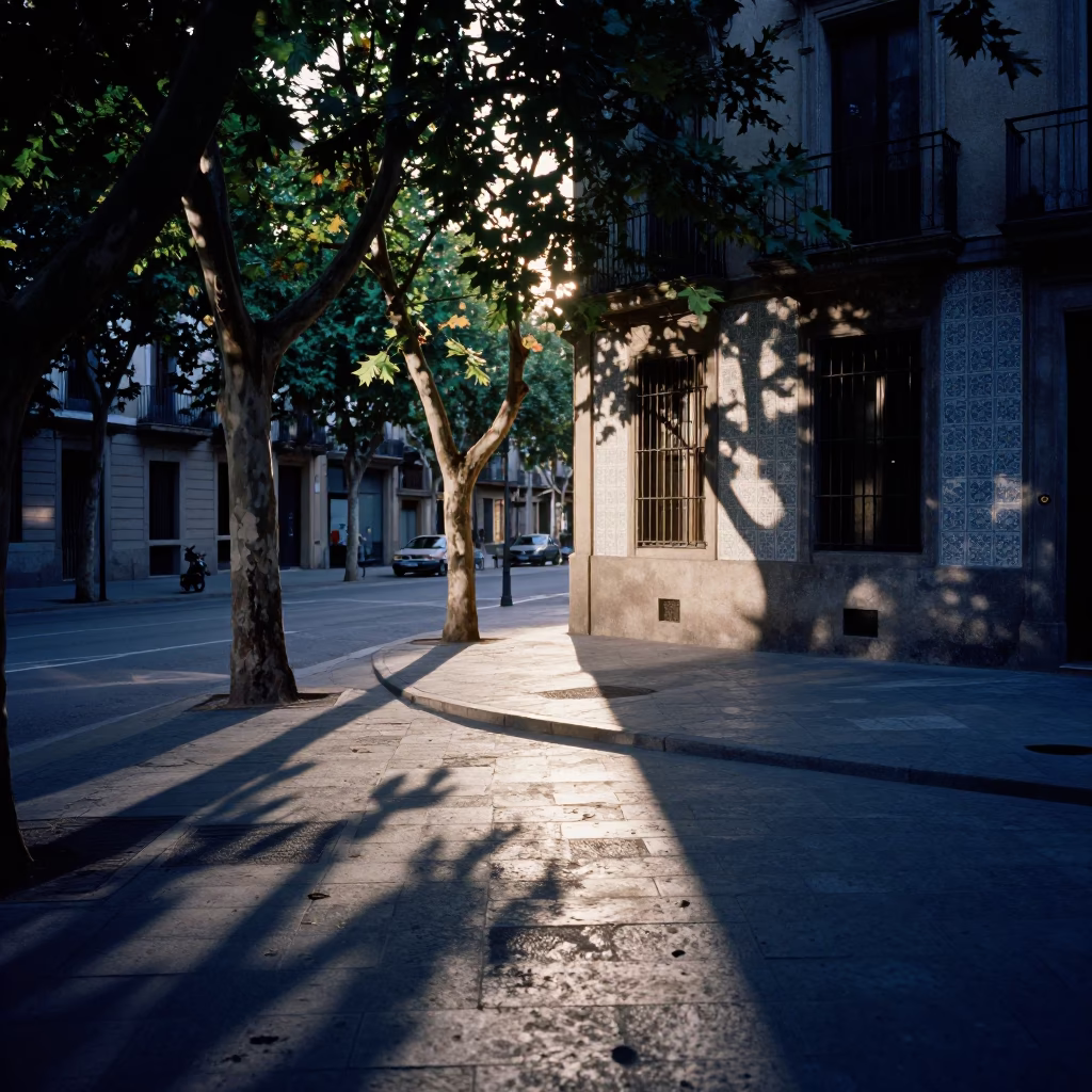 Barcelona Nautical Dawn Leaf Shadows on Tile Street Scene in in Barcelona, Spain