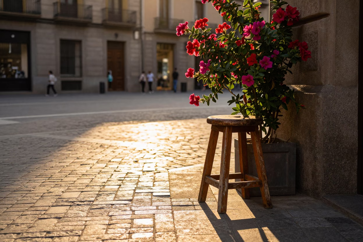 Barcelona Street Scene Golden Hour with Wooden Stool and Flowering Plant in in Barcelona, Spain