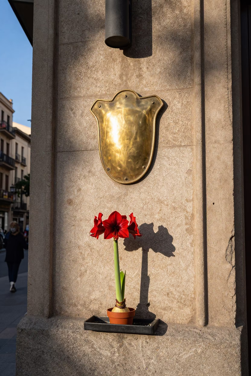 Barcelona Street Scene with Brass Escutcheon and Amaryllis in Late Afternoon Light in in Barcelona, Spain