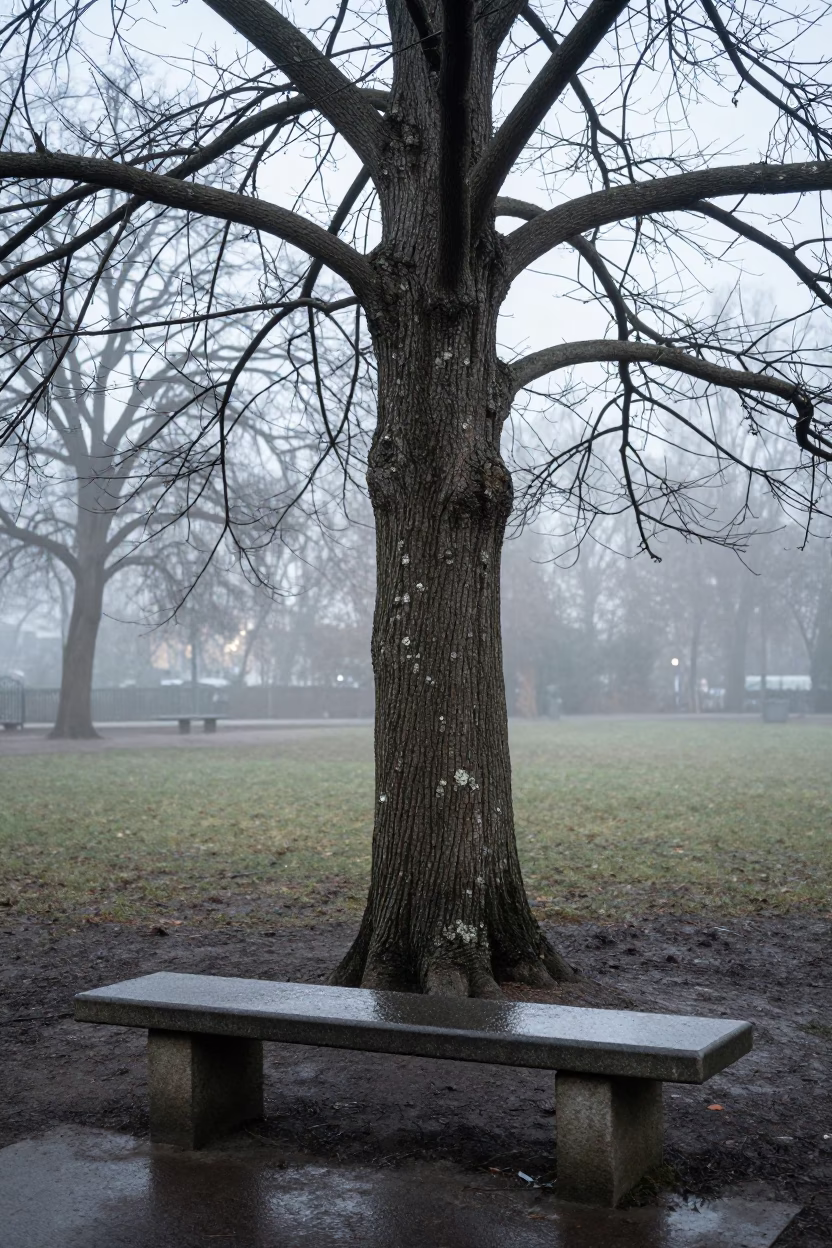 Bare Tree Trunk in Berlin in in Berlin, Germany