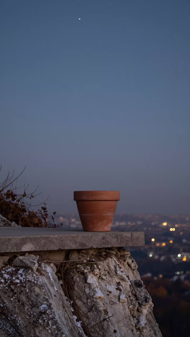Basil Pot on Cliff Edge Before Dawn in along a salt-sprayed cliff edge near Bucharest