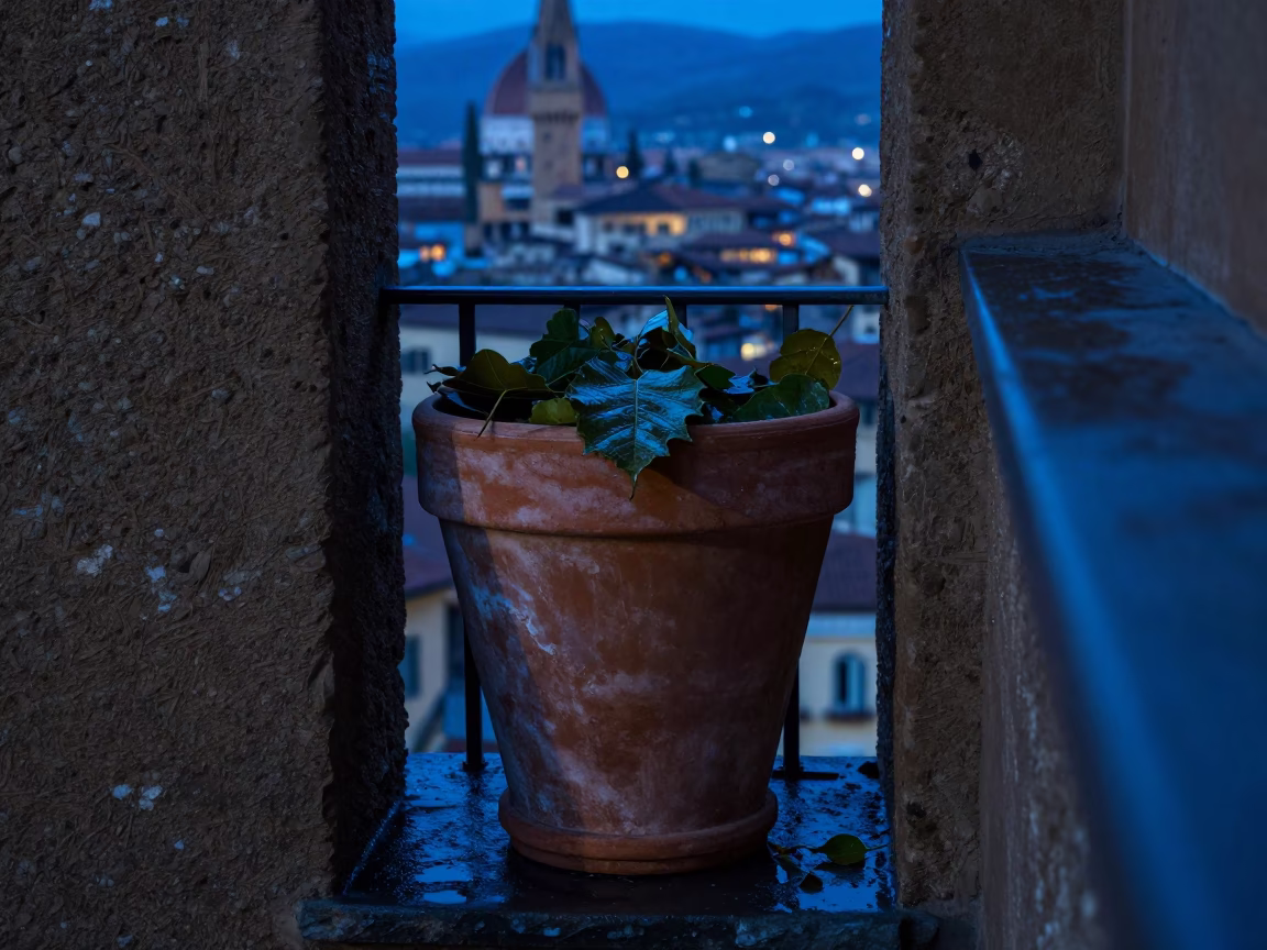 Basil Pot in Florence in in Florence, Italy