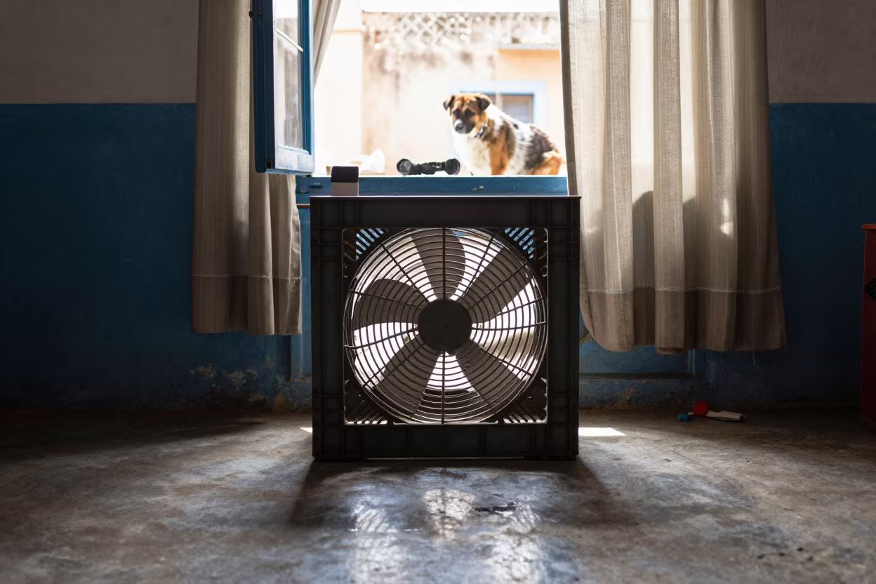 Battery Caddy in El Jadida Adoption Room in inside an adoption room in El Jadida