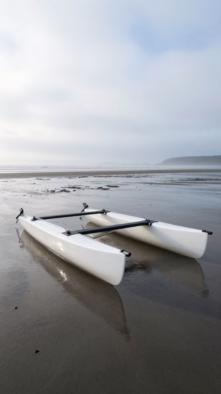 Beached Catamaran Oregon Shore Rain Mist in in Oregon