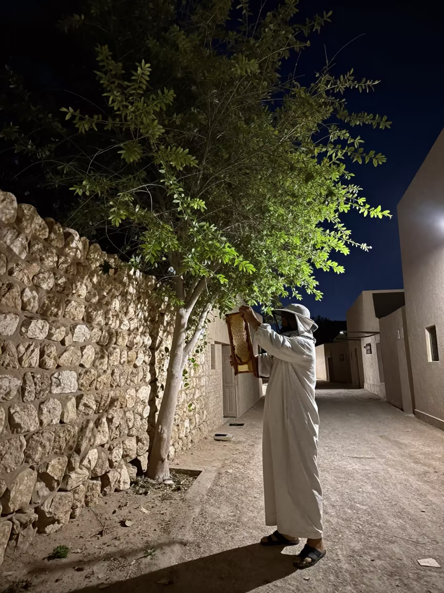 Beekeeper Lifting Honeycomb Frame Under Night Sky in in a village lane near Abu Dhabi