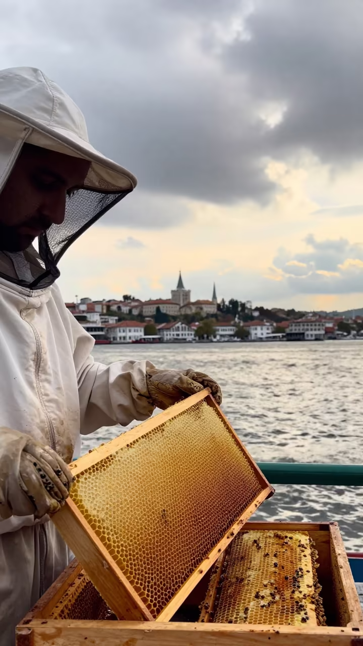 Beekeeper Lifts Honey Frame at Harbor Quay in at a harbor quay near Çerkezköy district