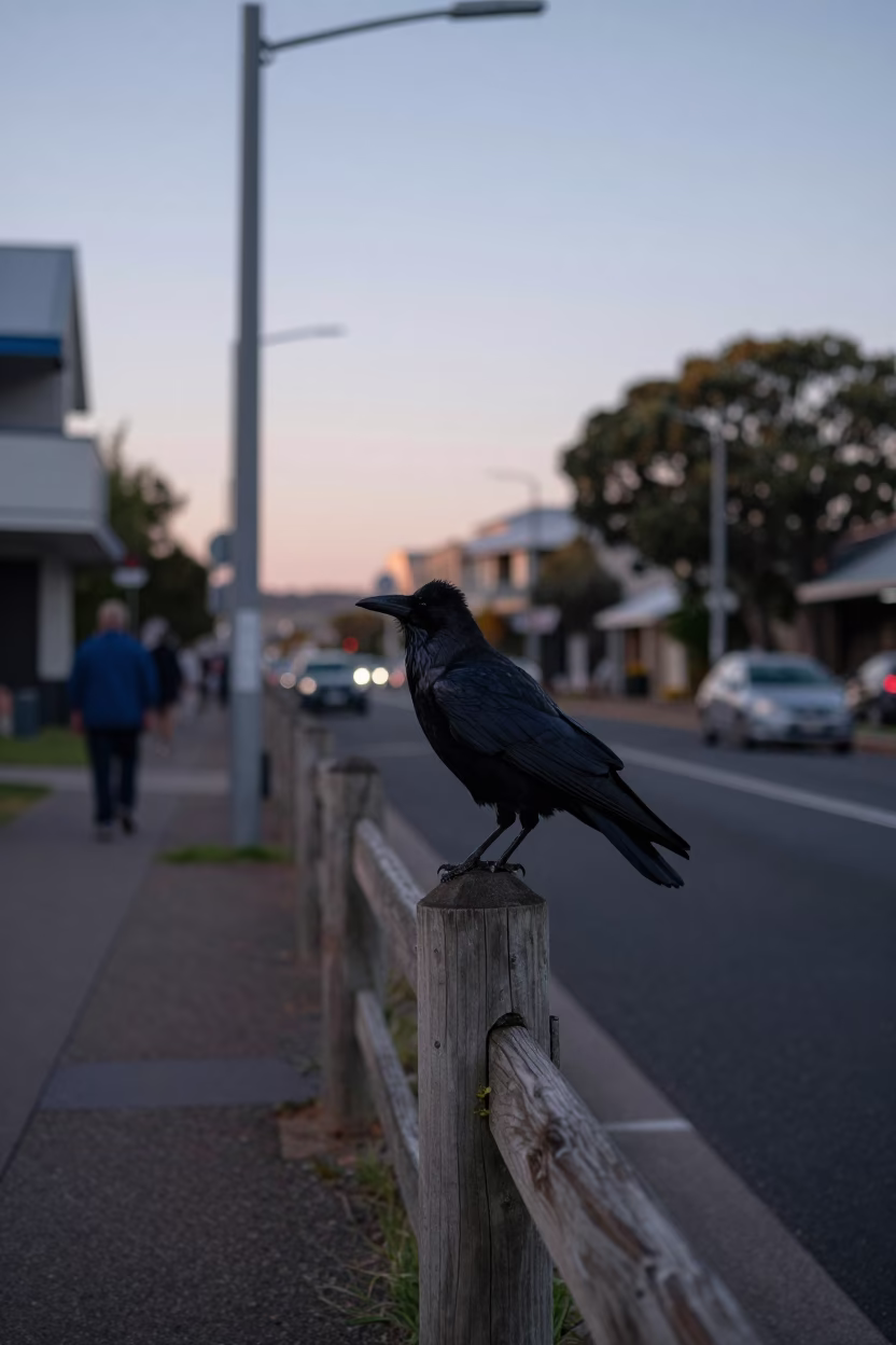 Before Sunrise in Perth at Sunrise Light in in Perth, Western Australia, Australia