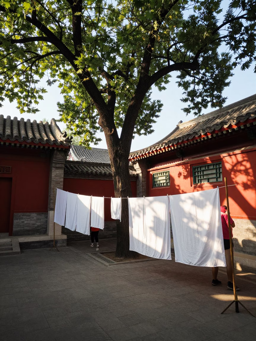 Beijing Residential Courtyard Morning Scene with Laundry Lines and Morning Glory Vine in in Beijing, China