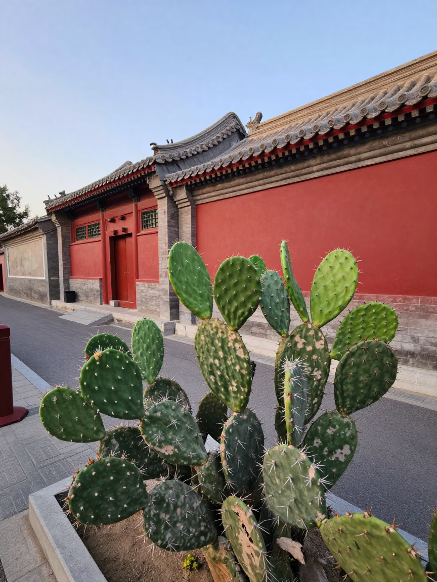 Beijing Street Scene Early Afternoon with Prickly Pear Cactus and Traditional Architecture in in Beijing, China