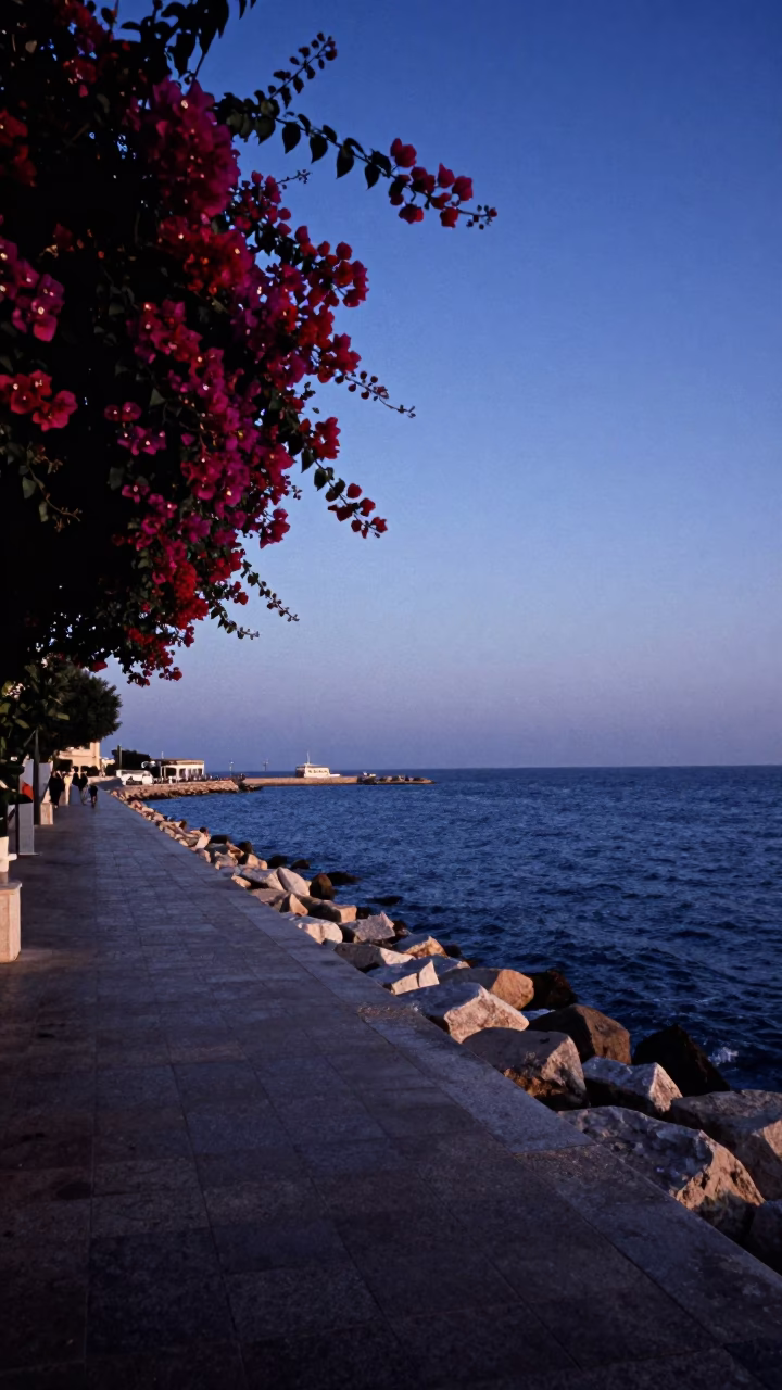 Beirut Lebanon Coastal Promenade Pre-Dawn View with Bougainvillea and Harbor Waters in in Beirut, Lebanon
