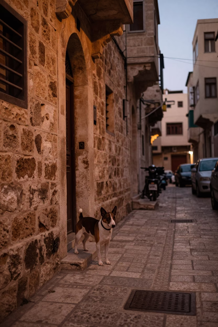 Beirut Lebanon copper dusk street scene with Bull Terrier and hand broom in in Beirut, Lebanon