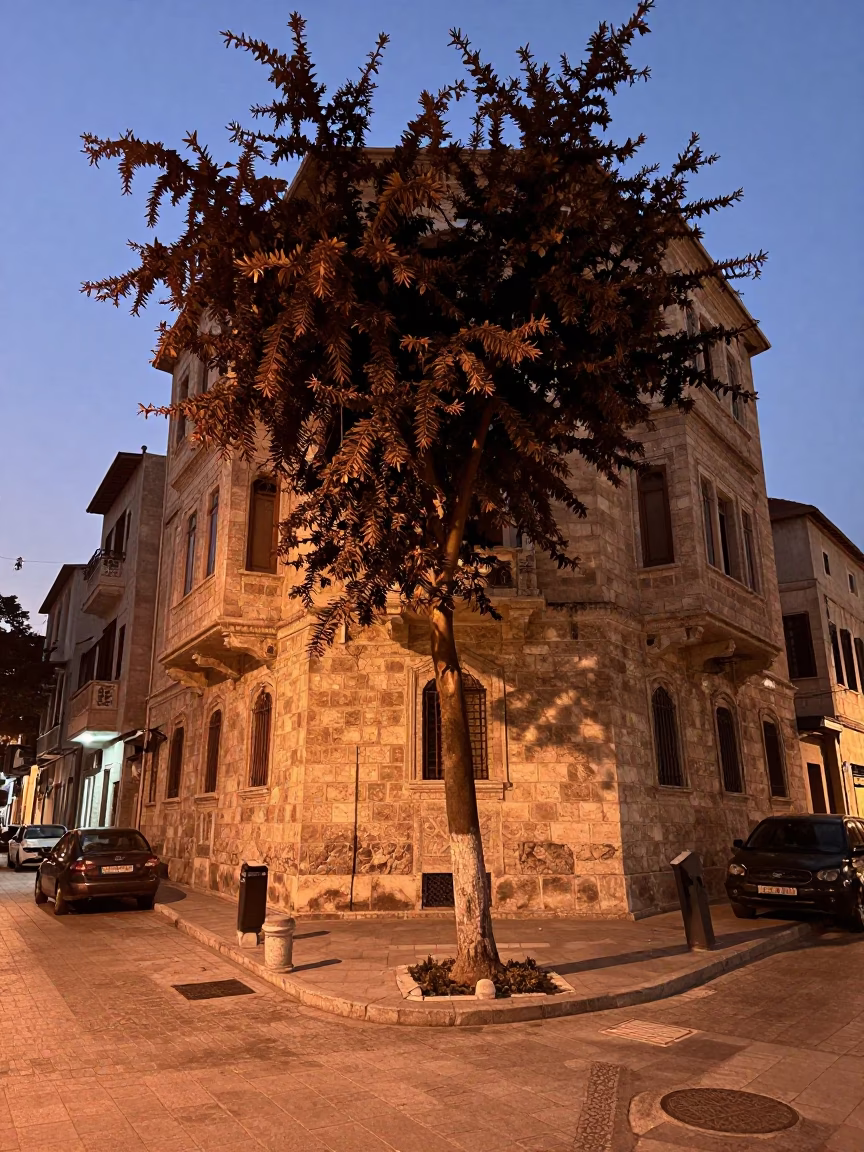 Beirut Lebanon Dusk Copper Light Street Scene with Bronze Beech Tree in in Beirut, Lebanon