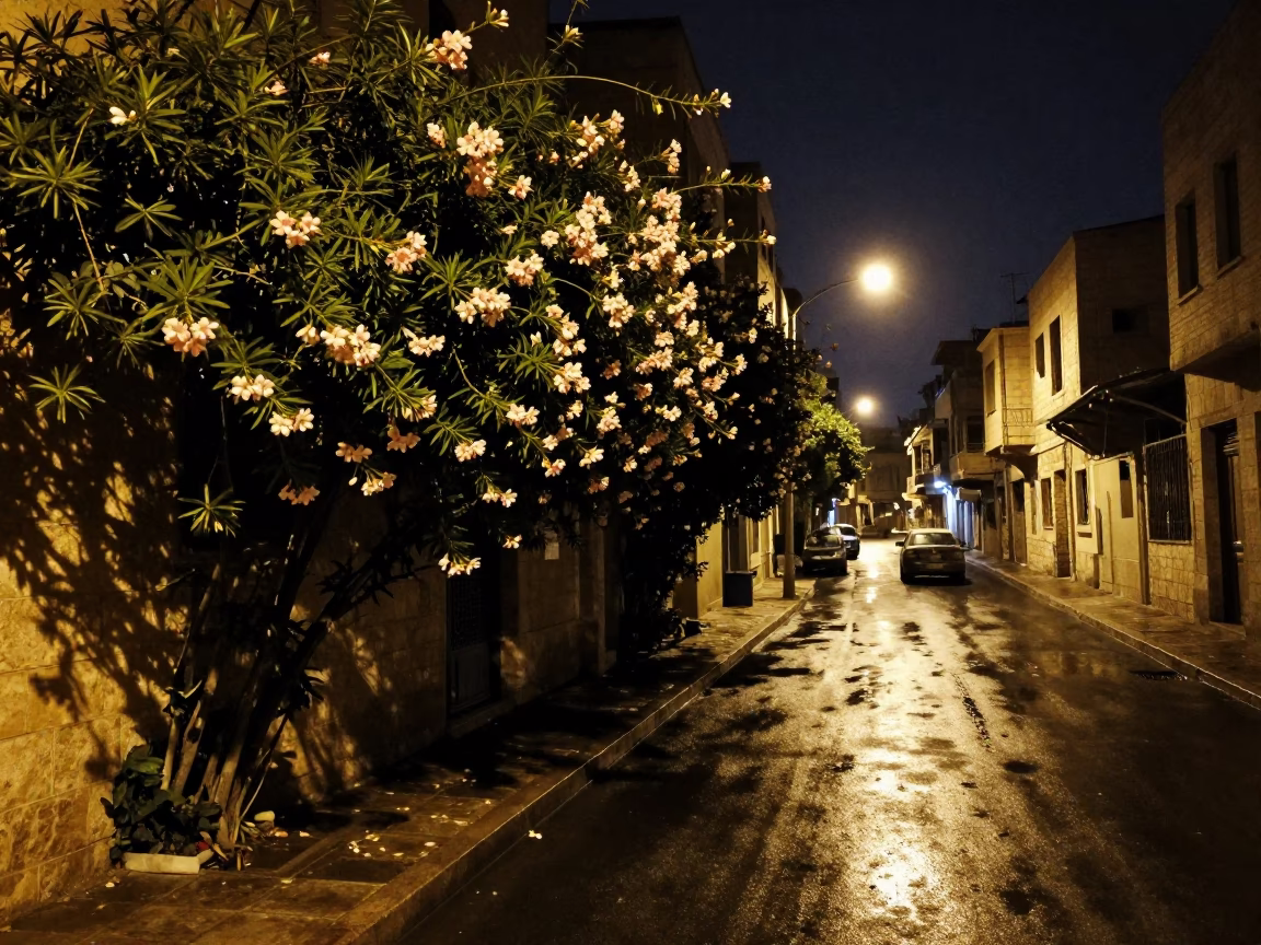 Beirut Night Street Scene with Oleander Hedge and Wet Drain in Lebanon in in Beirut, Lebanon