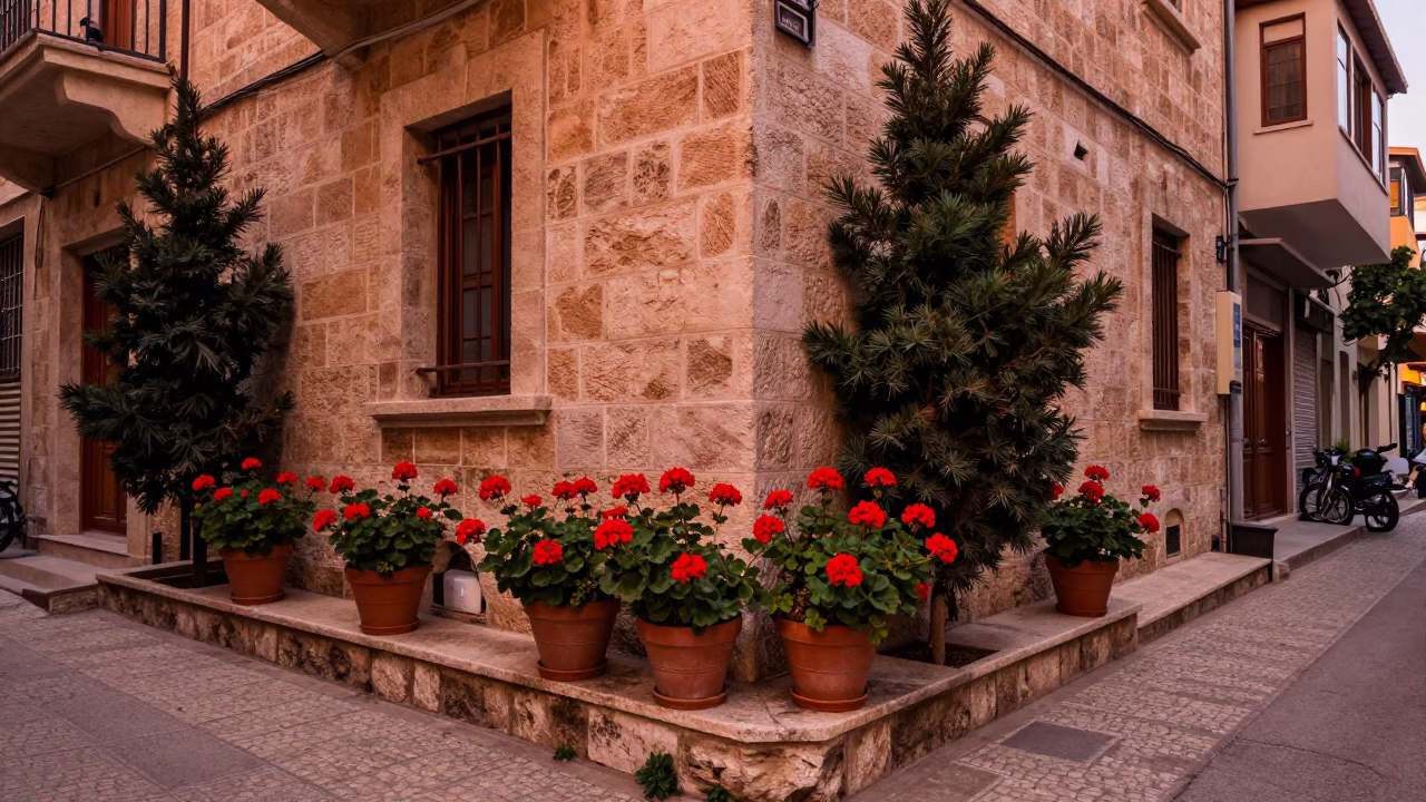 Beirut Street Corner with Geraniums and Cedar in Copper Dusk Light in in Beirut, Lebanon