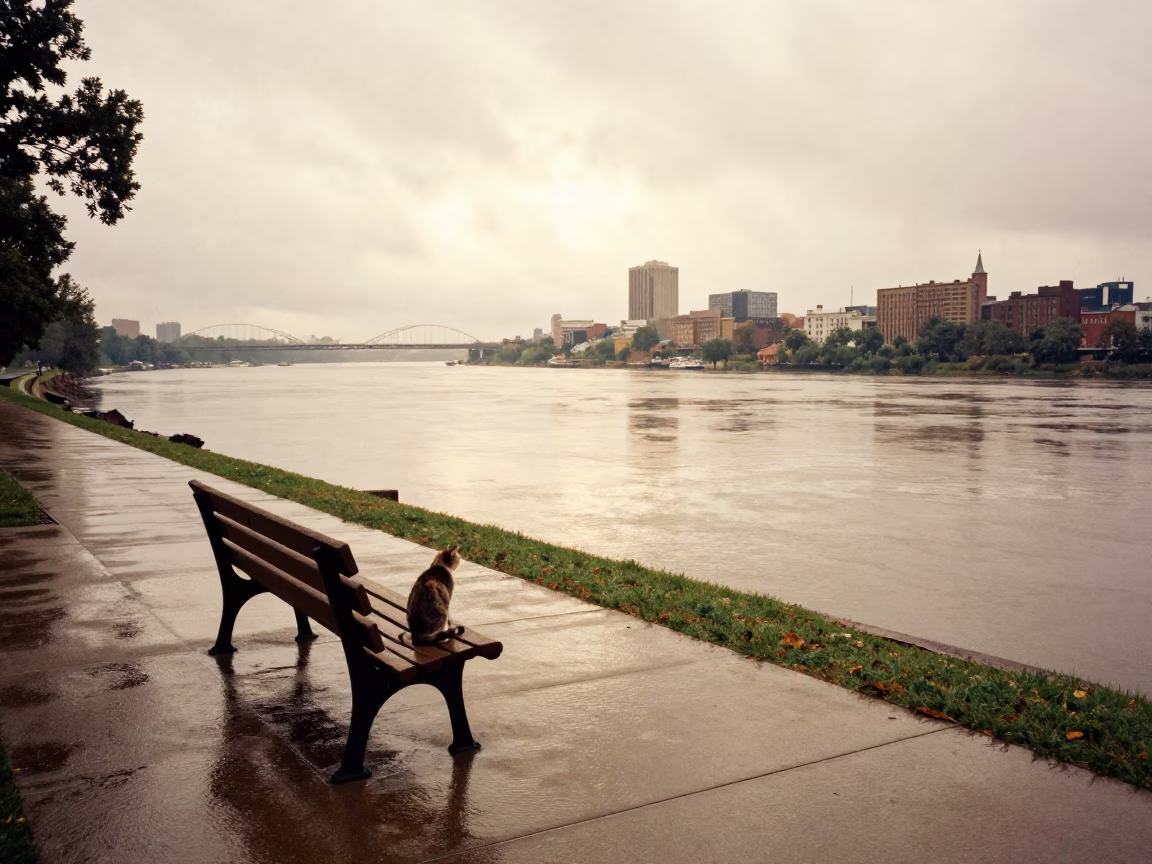 Bench in Nashville at First Light in in Nashville, Tennessee, United States