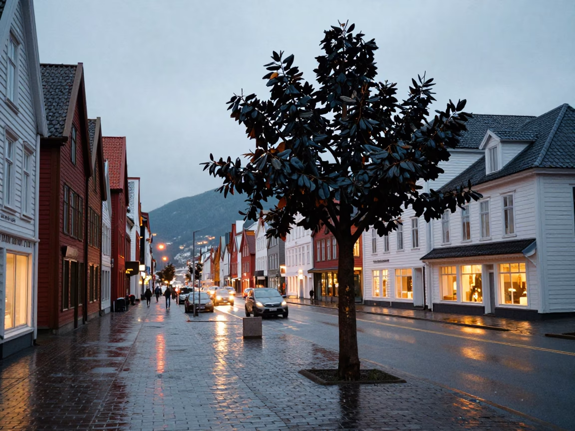 Bergen Norway Dusk Street Scene with Rubber Fig Tree and Linen Fringe in in Bergen, Norway