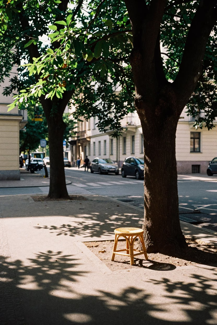 Berlin Germany Early Afternoon Street Scene with Rattan Stool and Avocado Tree in in Berlin, Germany