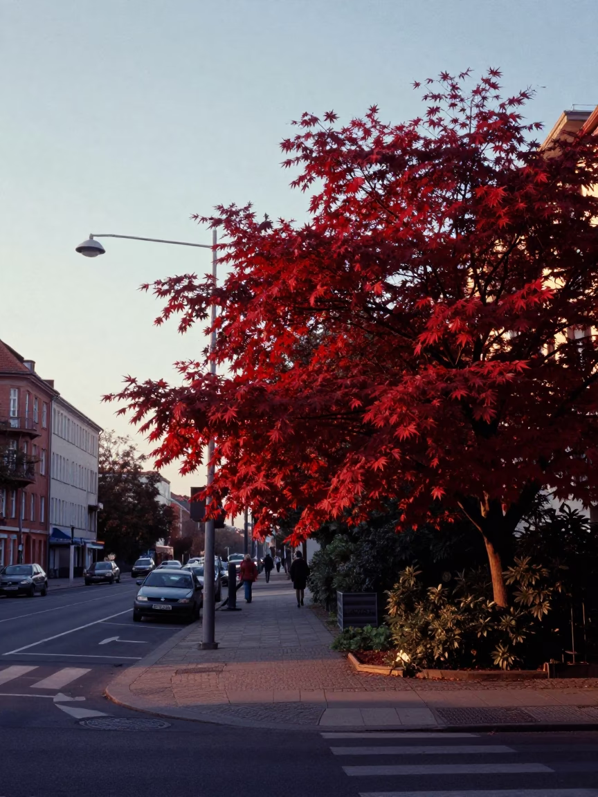 Berlin Nautical Dawn Street Scene with Japanese Maple and Vintage 1980s Aesthetic in in Berlin, Germany