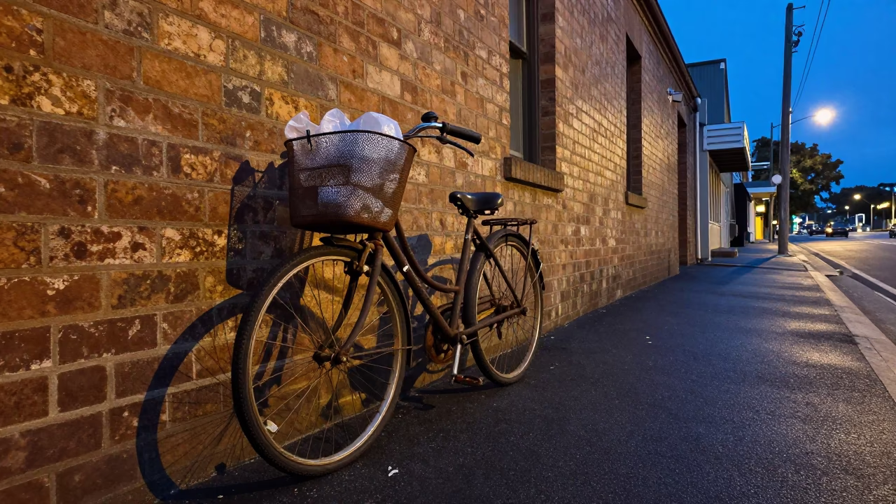 Bicycle Basket in Adelaide in in Adelaide, South Australia, Australia
