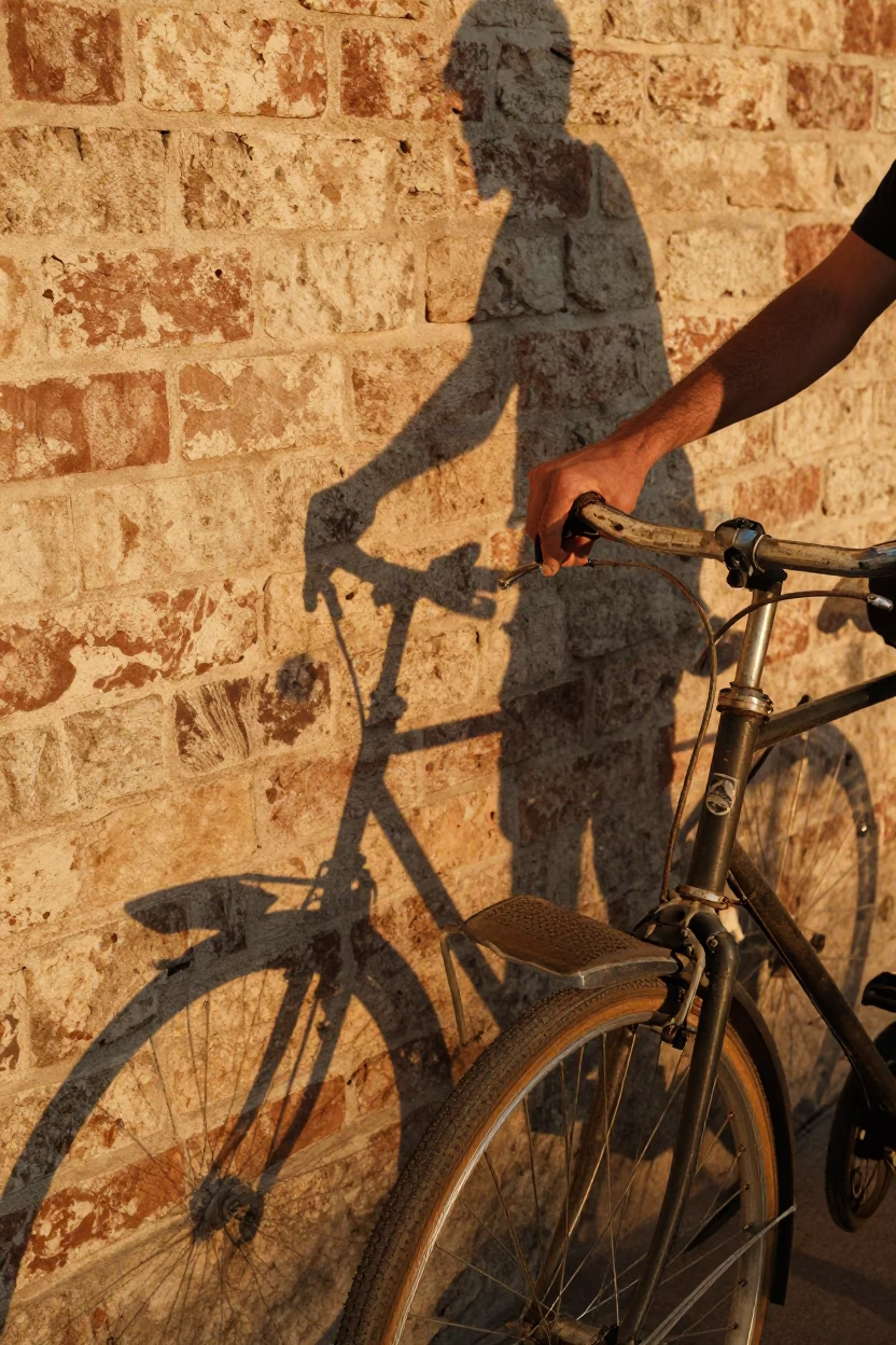 Bicycle Saddle in Austin in in Austin, Texas, United States