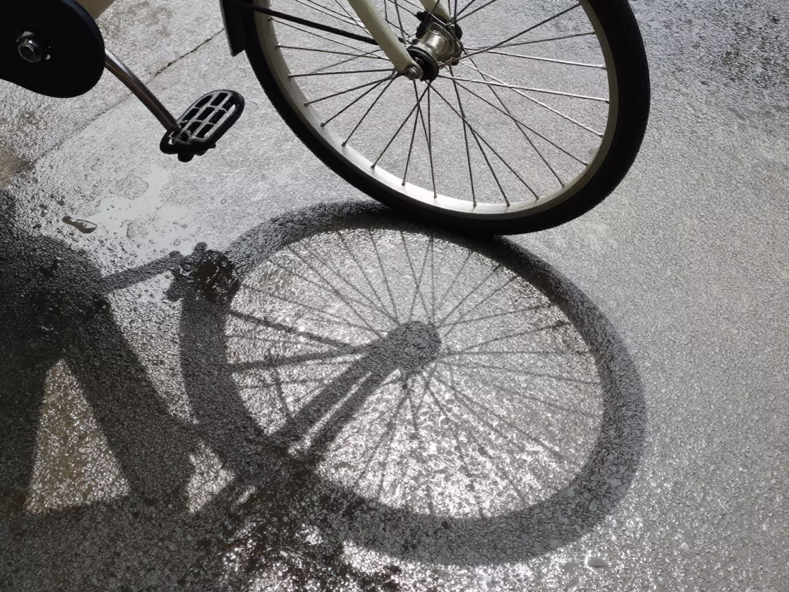 Bicycle Spoke Shadows on Wenzhou Sidewalk in near Wenzhou