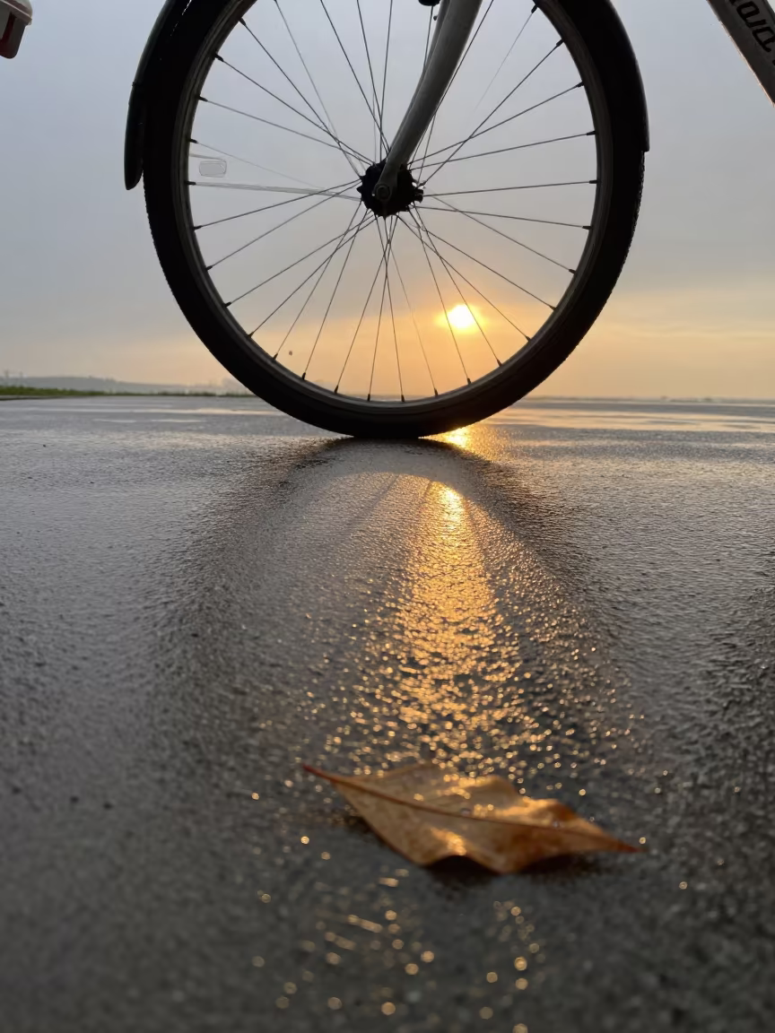 Bicycle Spoke Shadows on Wet Autumn Sidewalk in along a switchback approach near Aktobe
