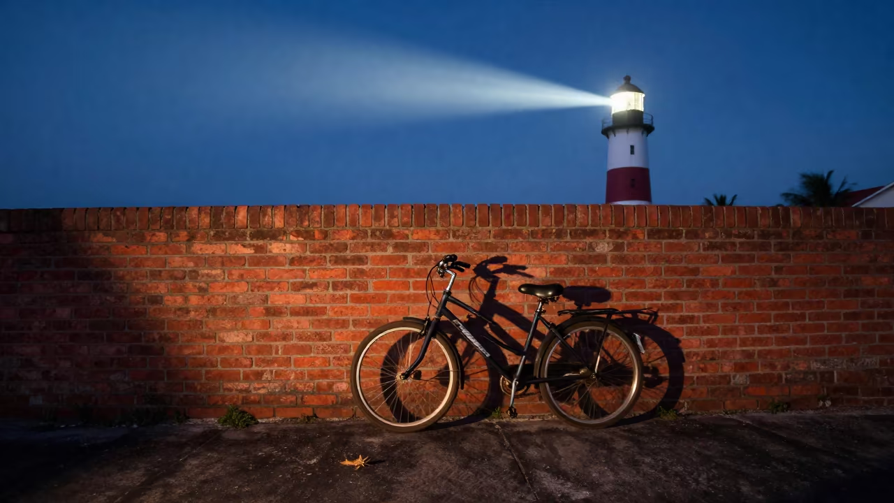 Bicycle Wheel Shadows on Brick Barbados Wall in in Barbados
