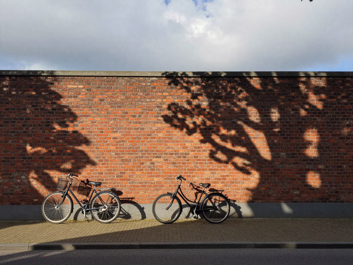 Bicycle Wheel Shadows on Brick Wall Ferry Crossing in across a remote ferry crossing near Maastricht