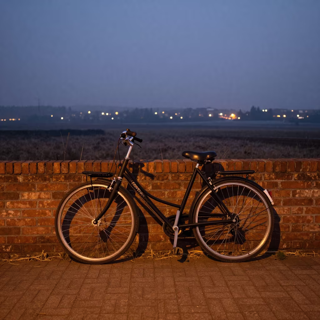 Bicycle Wheel Shadows on Brick Wall Twilight Mist in near Erdenet