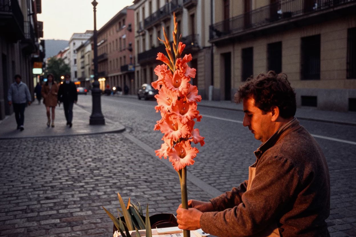 Bilbao Spain Street Scene Before Dusk With Gladiolus Flower Spike in in Bilbao, Spain