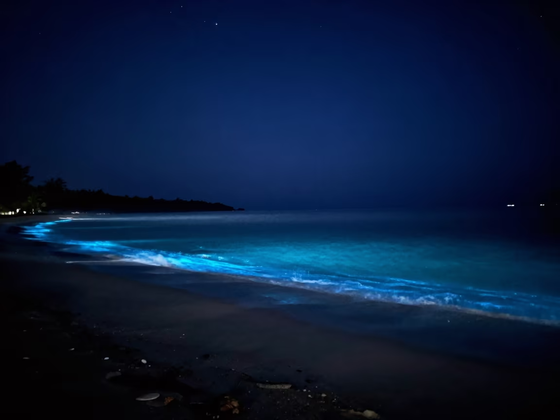 Bioluminescent Bay Glowing Under Predawn Stars in beneath a dark-sky overlook near Venice
