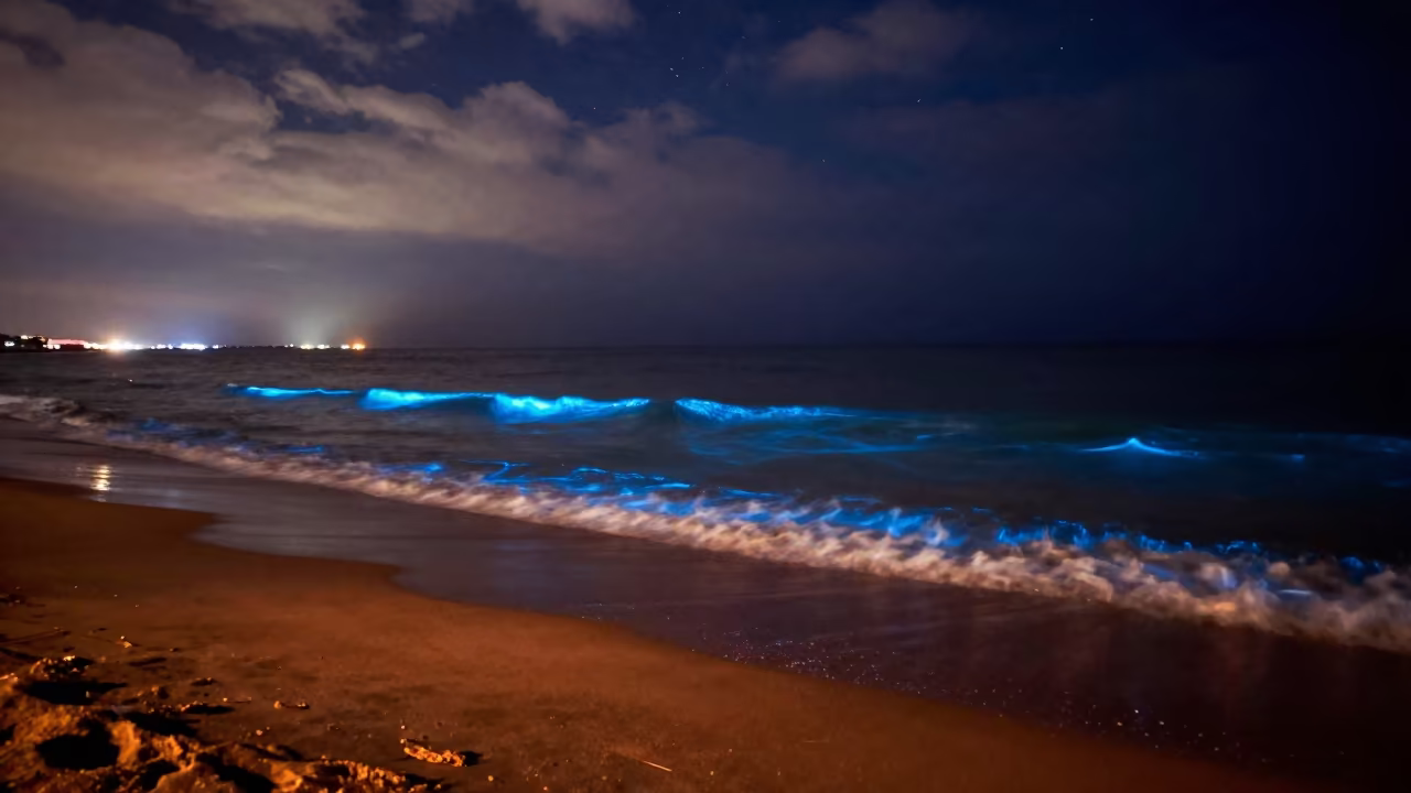 Bioluminescent Plankton in Dark Waves Near Marseille in beneath thin cloud gaps and stars near Marseille