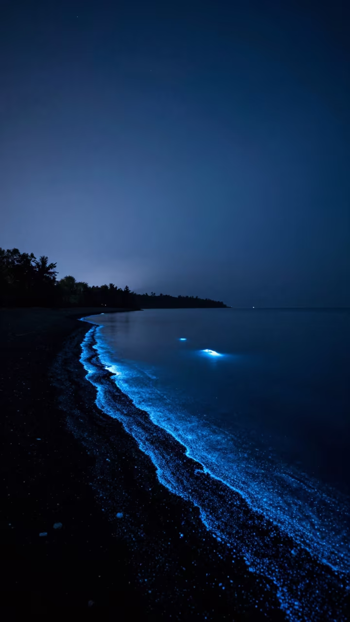 Bioluminescent Shoreline Mist at Mekele Overlook in beneath a dark-sky overlook near Mekele