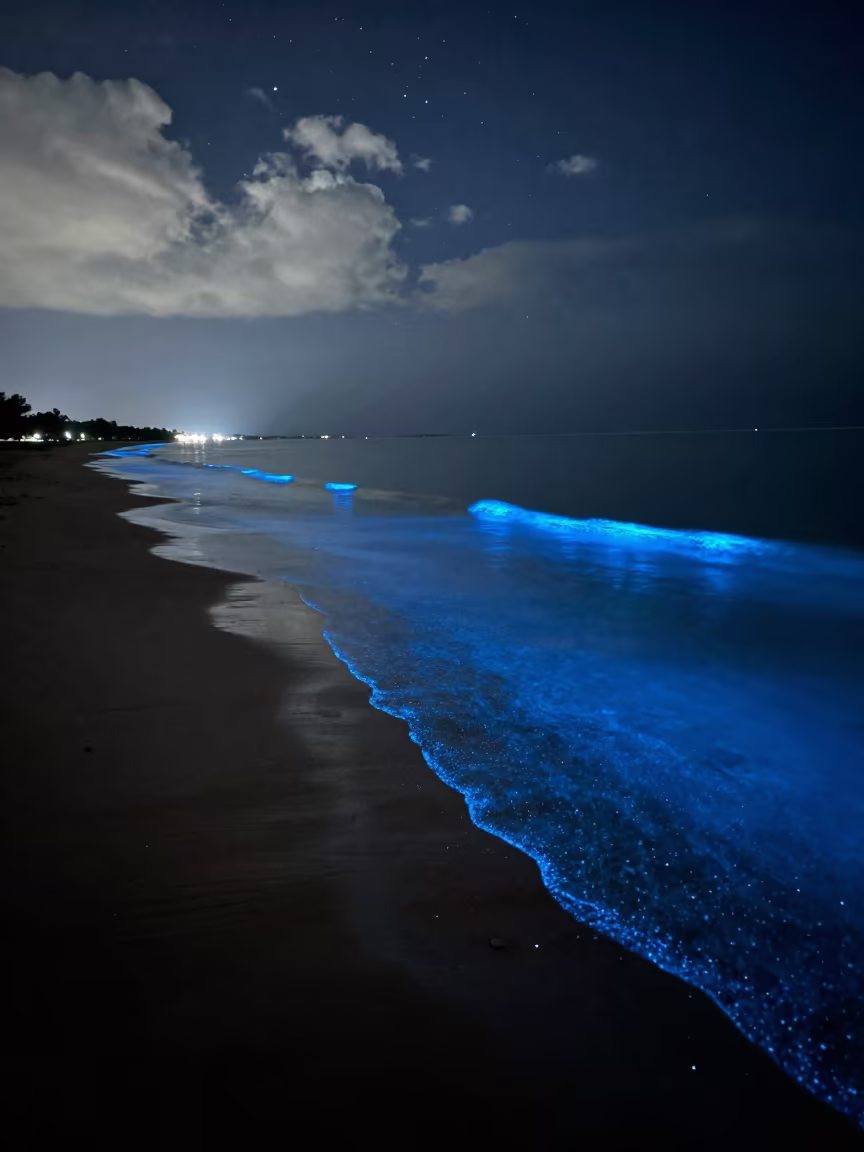 Bioluminescent Tide Mirrors Mombasa Night Sky in under the clearest stretch of sky near Mombasa