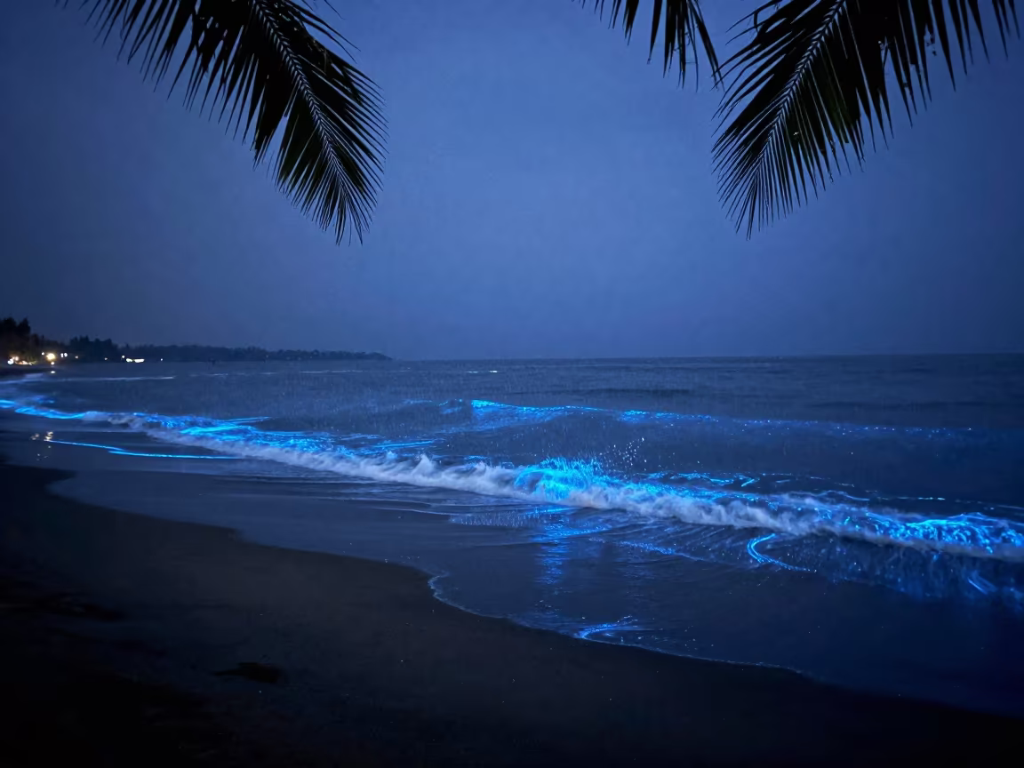 Bioluminescent Tide Under Starlight in Indonesia in under a band of cold starlight in Indonesia